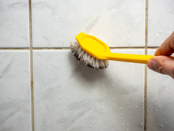 Trusted Beresford, SD Mold Remediation Experts